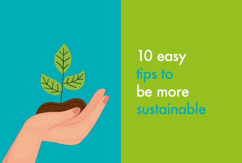 10 Easy Tips To Be More Sustainable | Bidfood Blogs